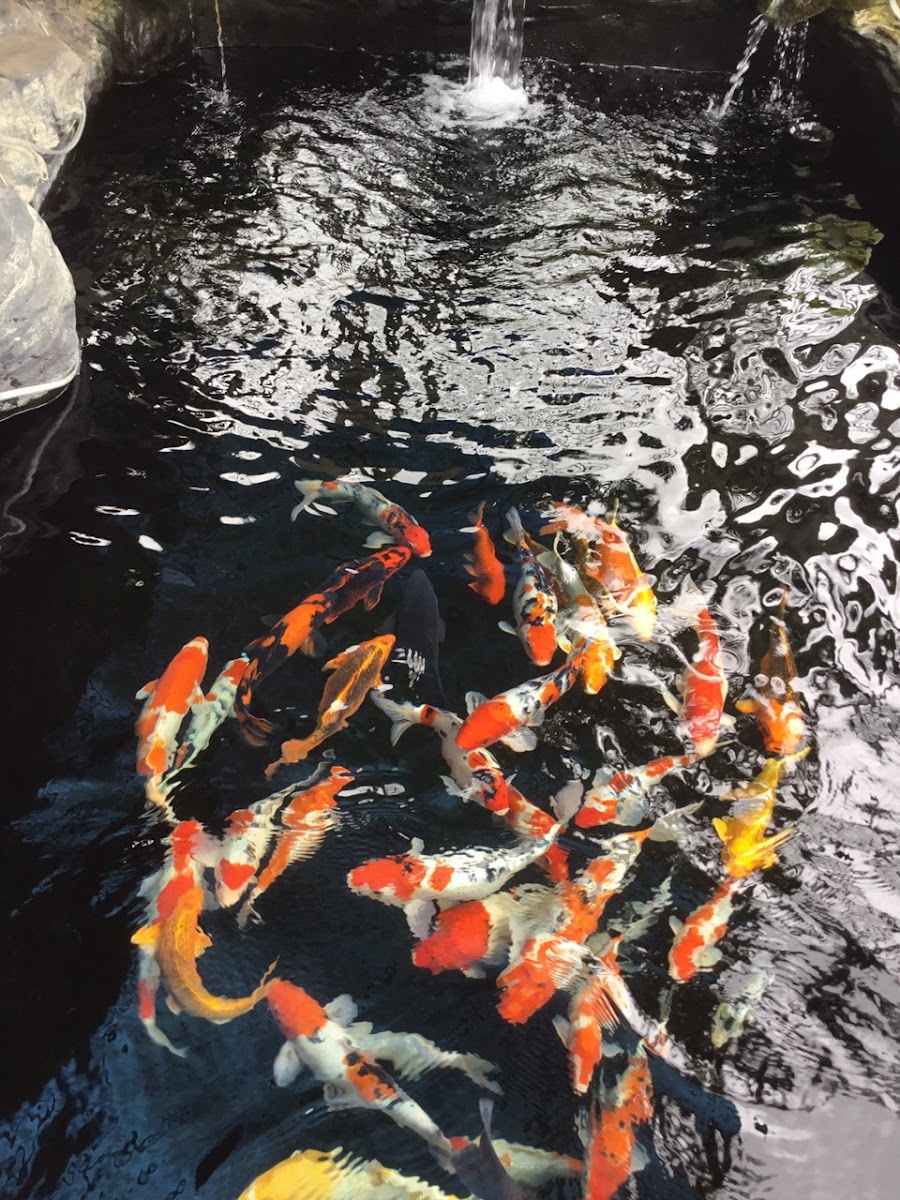 Hữu Phong Coffee - 3