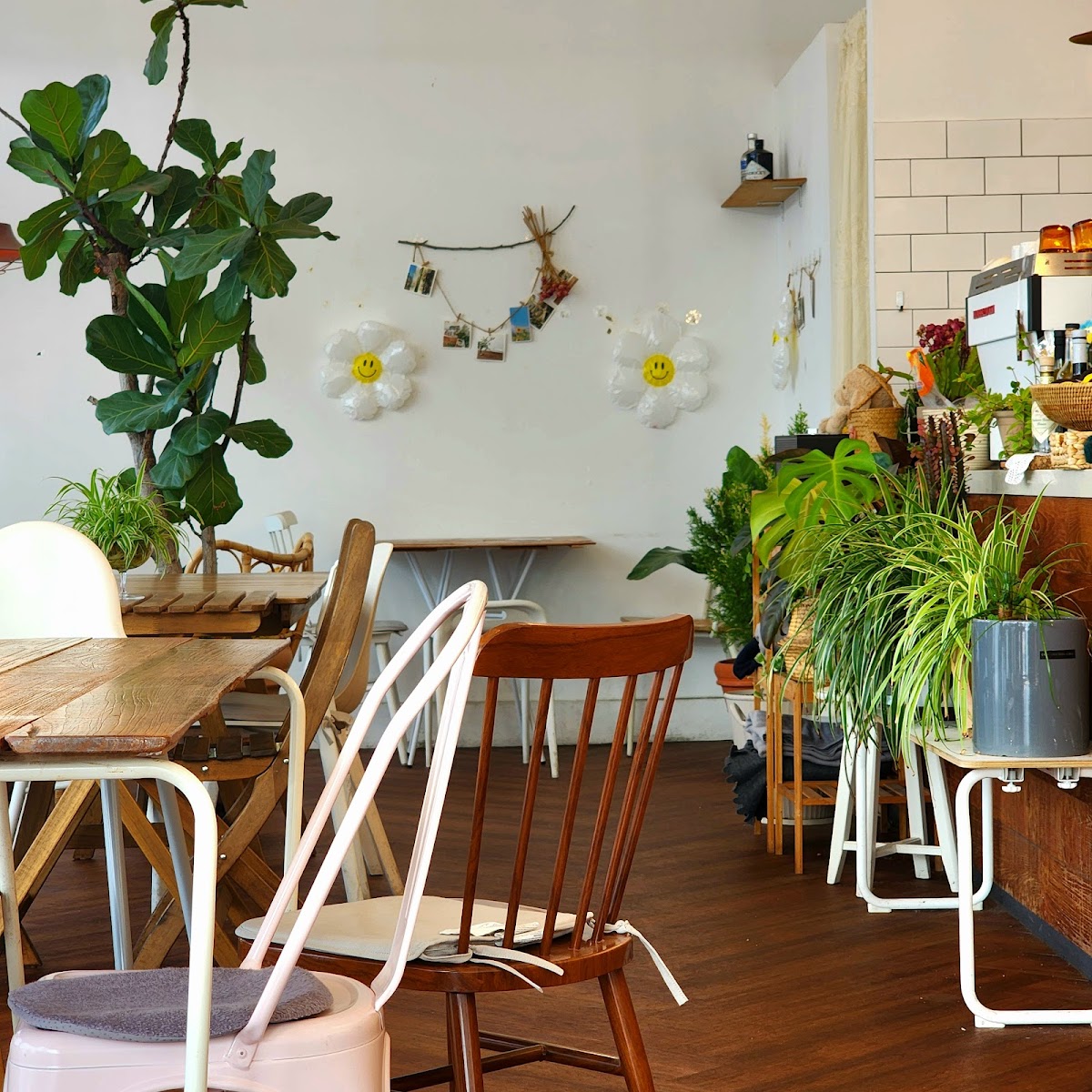 슈가럼프 Cafe Sugarlump