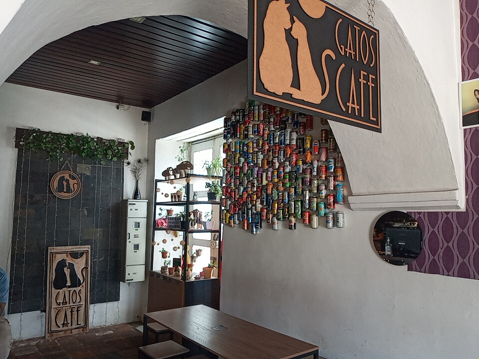 GATOS CAFÉ