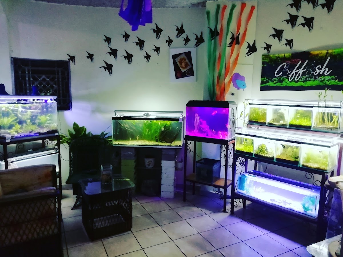 Coffish Coffee & Aquarium