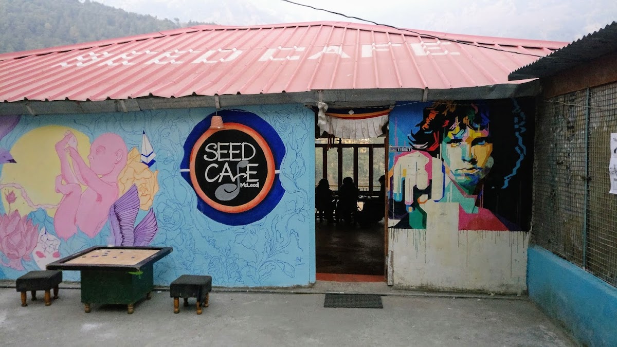 New Seed Cafe