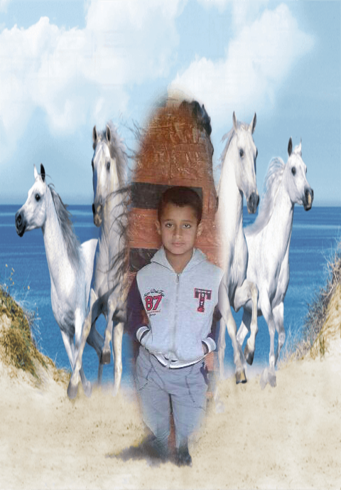 Cafe Liberty Haj Hussein Shaheen Obwafattouh & Sons - 4