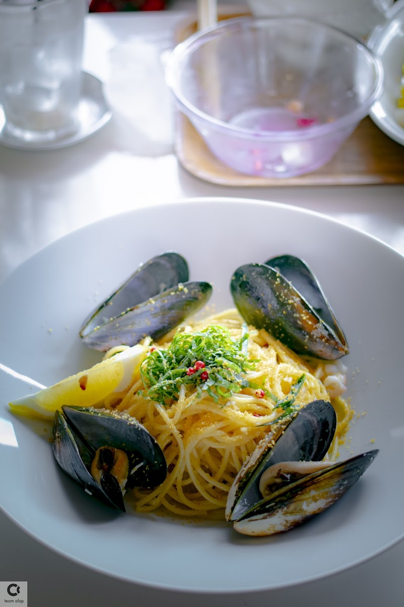 Café Mozart Papagano - 10