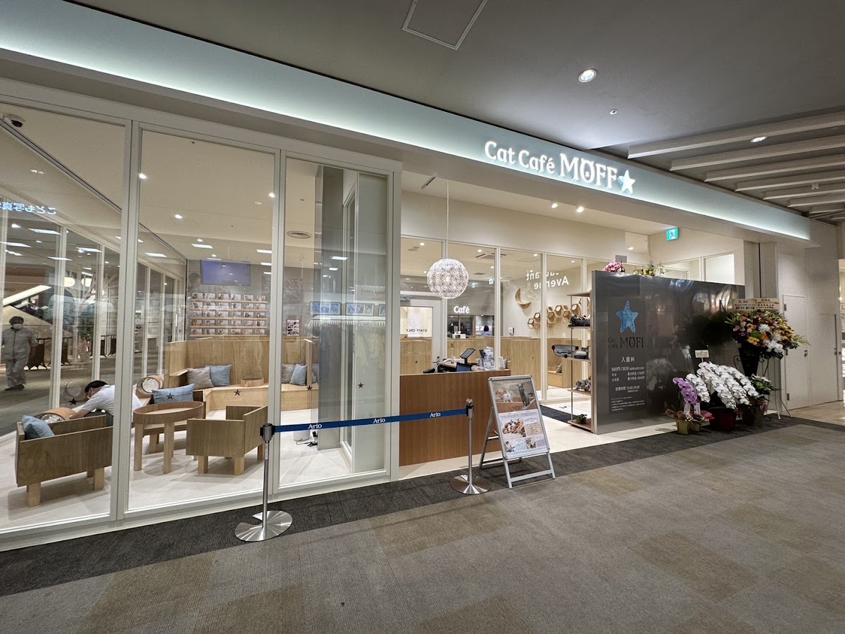 Cat Café MOFF Seven Park Ario Kashiwa