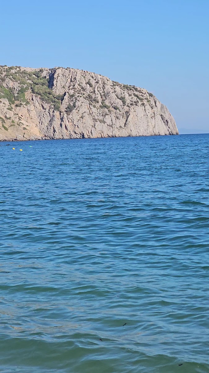 Katarti Caffe Snack Bar - 2