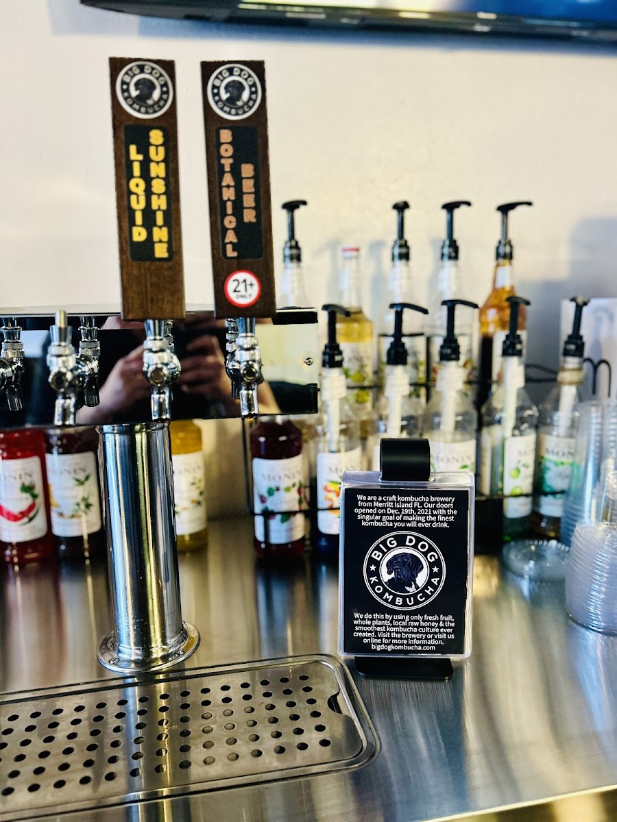 Calm Collective Kava Bar (Rockledge) - 9