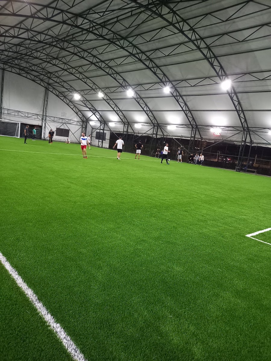 Albion Café & Lounge Bar