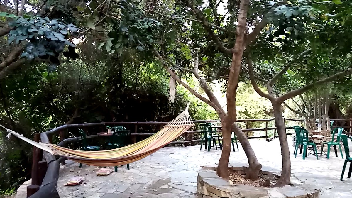 Καφέ - Αναψυκτήριο 'El Greco' cafe - 2