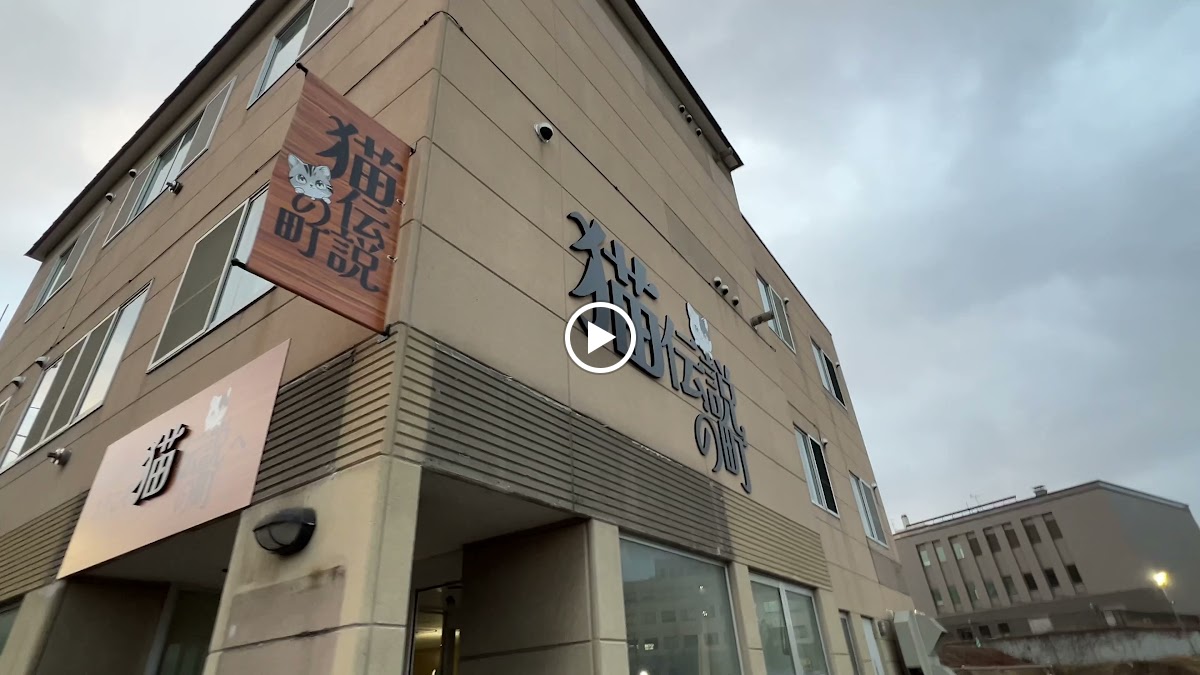 Cat Cafe-Meow Legend - 2