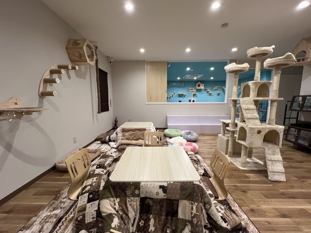 Cat Cafe-Meow Legend - 7