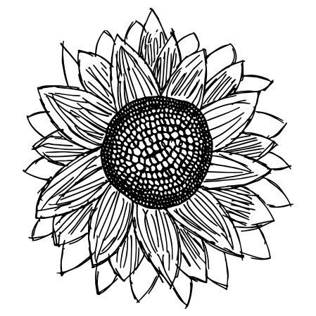 Miss. Milly's Espresso - 3