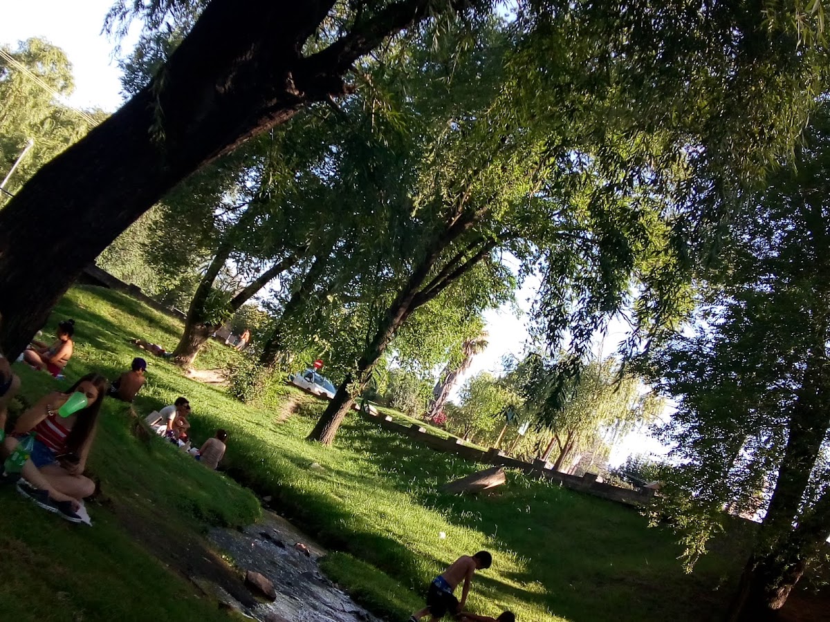 Paseo Buena Vista - 2