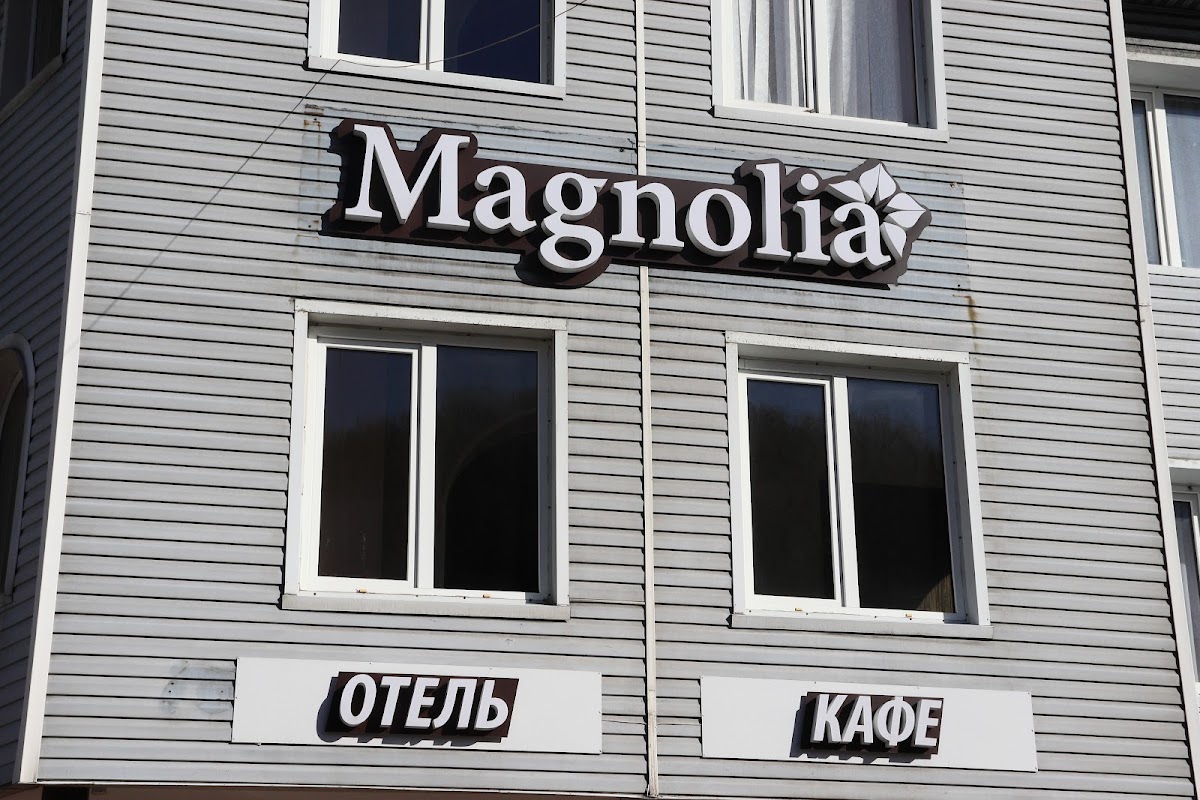 Magnoliya, Kafe
