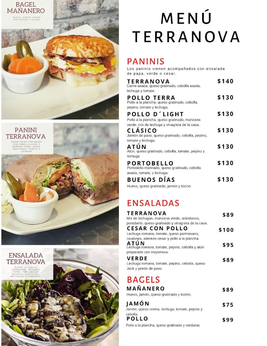 Terranova Café Y Paninos - 1