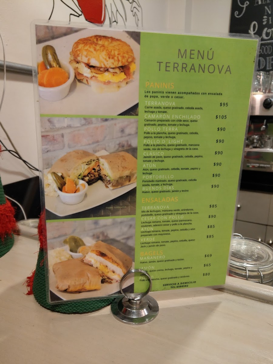 Terranova Café Y Paninos - 4