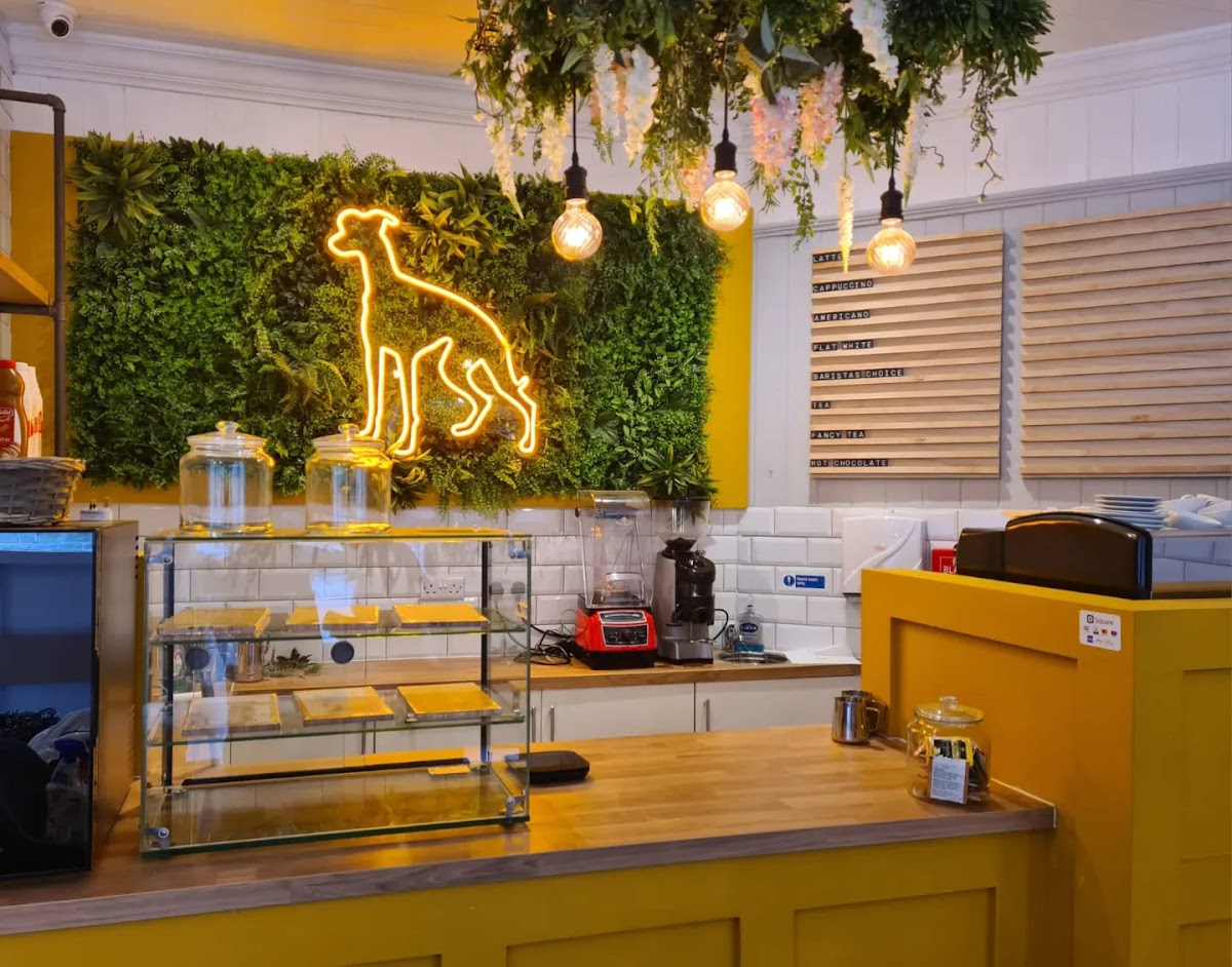Wired Whippet Coffee - 4