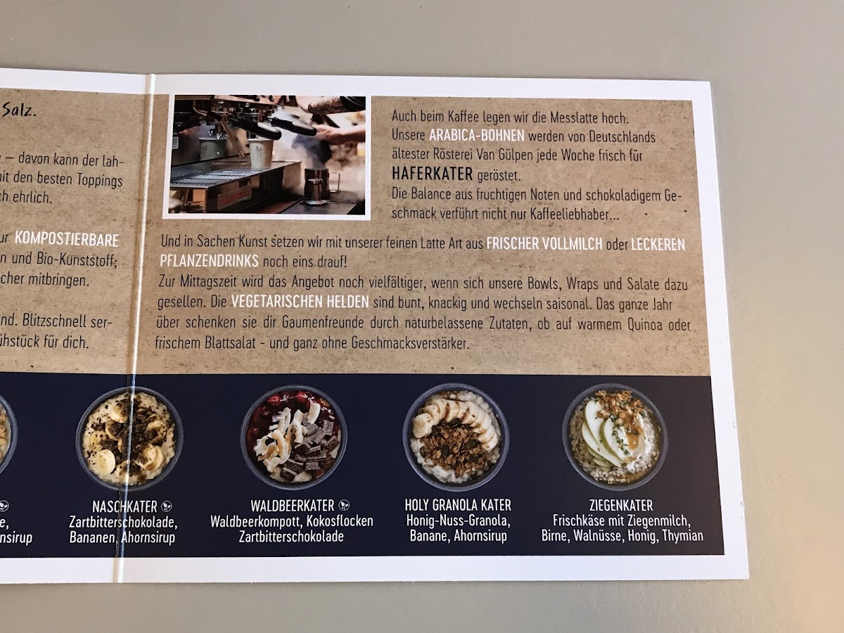 Haferkater, Köln Hauptbahnhof - 5