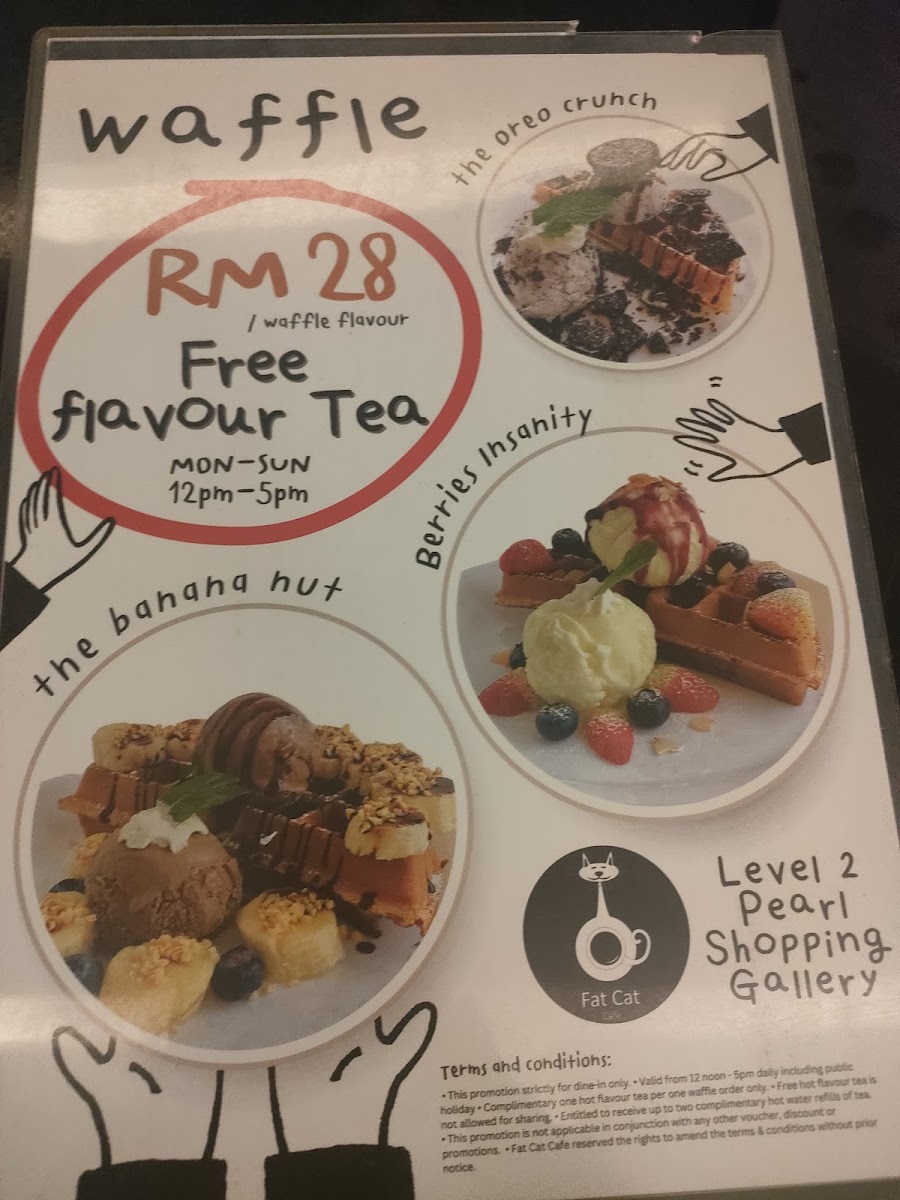 Fat Cat Cafe Pearl Shopping Gallery - 6