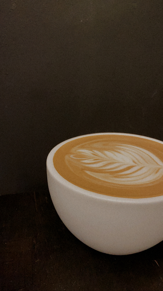 Fat Cat Cafe Pearl Shopping Gallery - 10