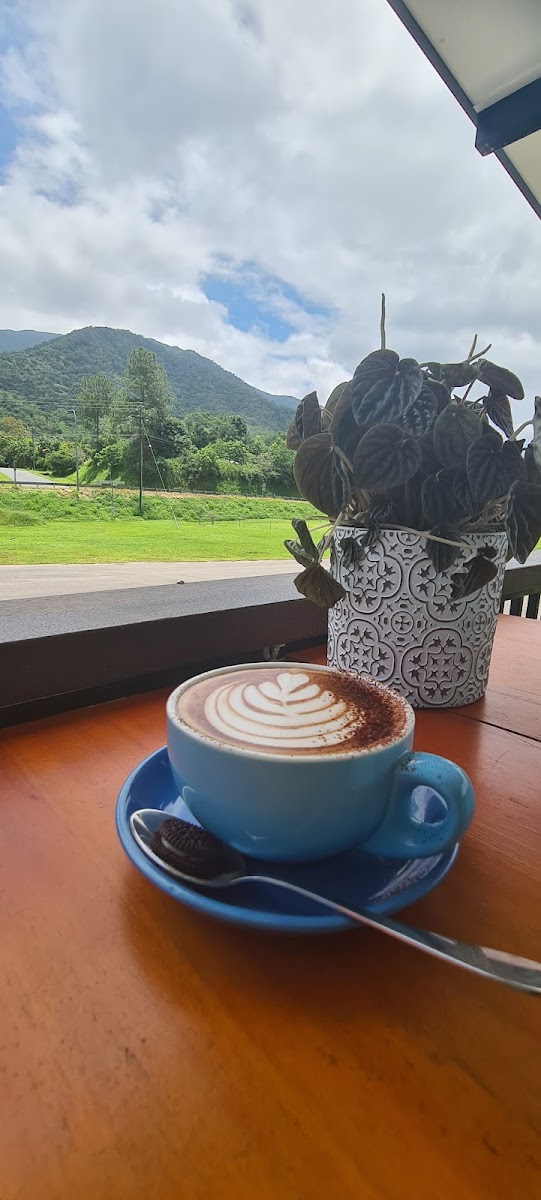 Sharbella Espresso - 8