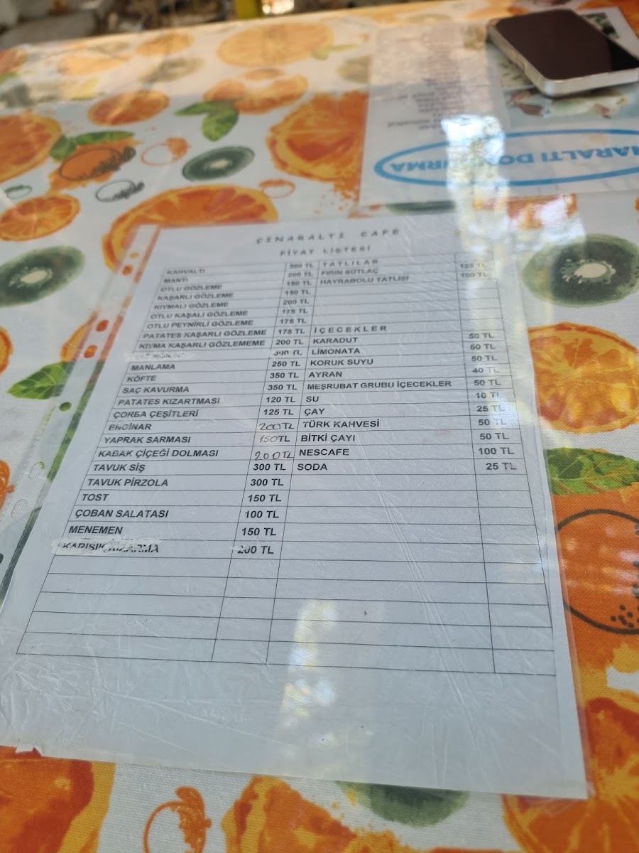 Cınaraltı Cafe - 2