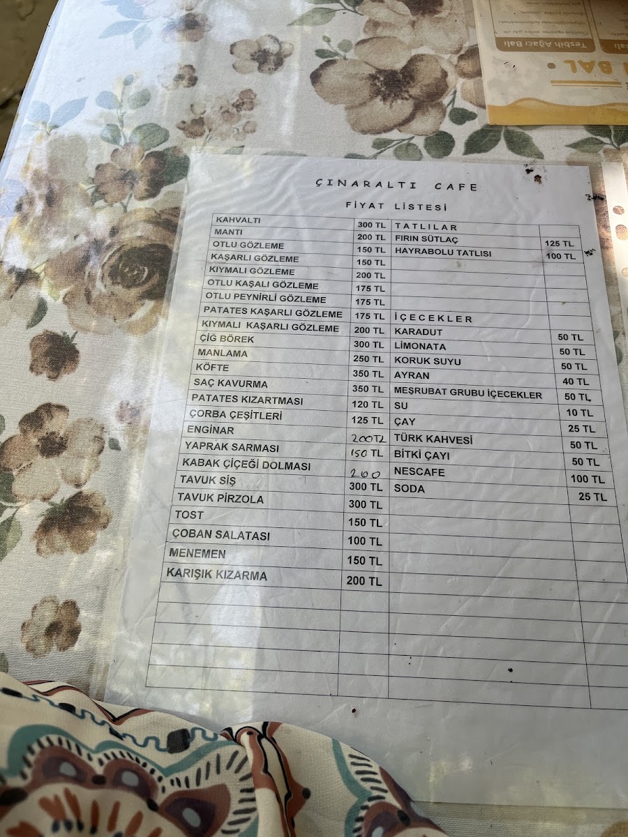 Cınaraltı Cafe - 3