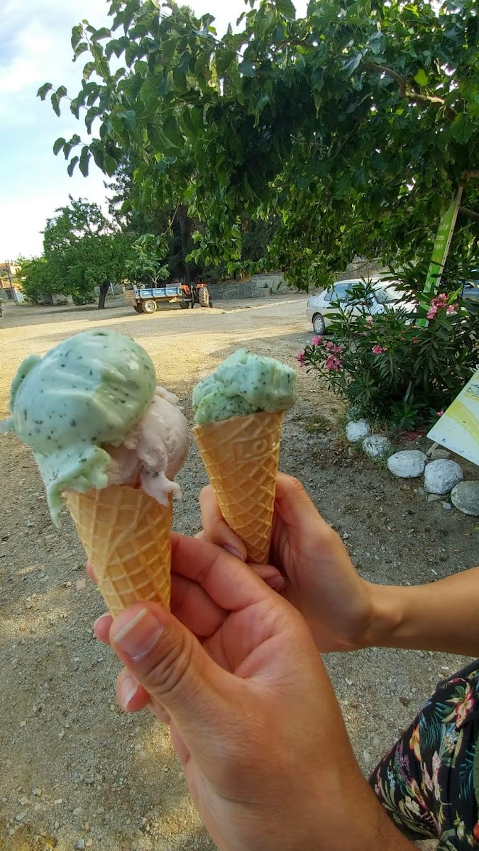 Cınaraltı Cafe - 10