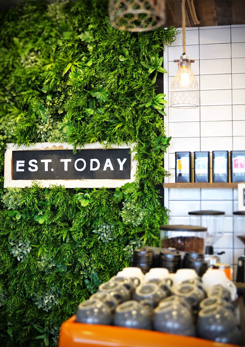 Central Bliss Cafe - 3