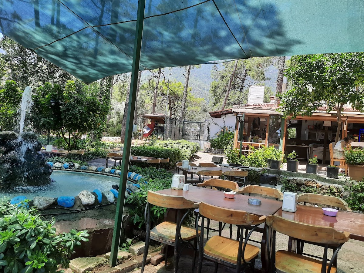 Yıldız Park Cafe