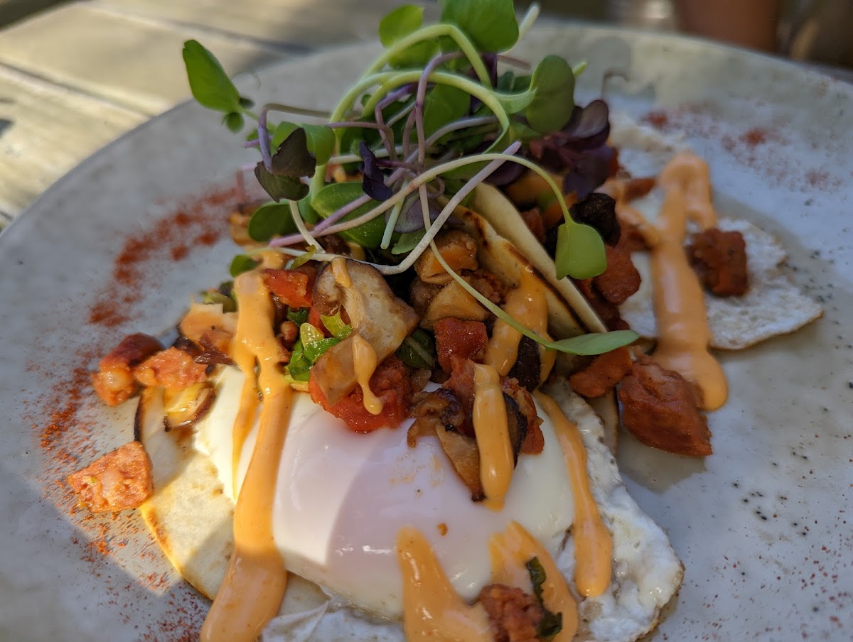 Skull and Swallow - 6