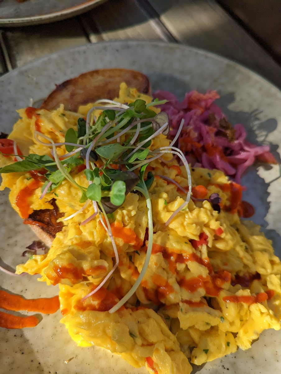 Skull and Swallow - 8