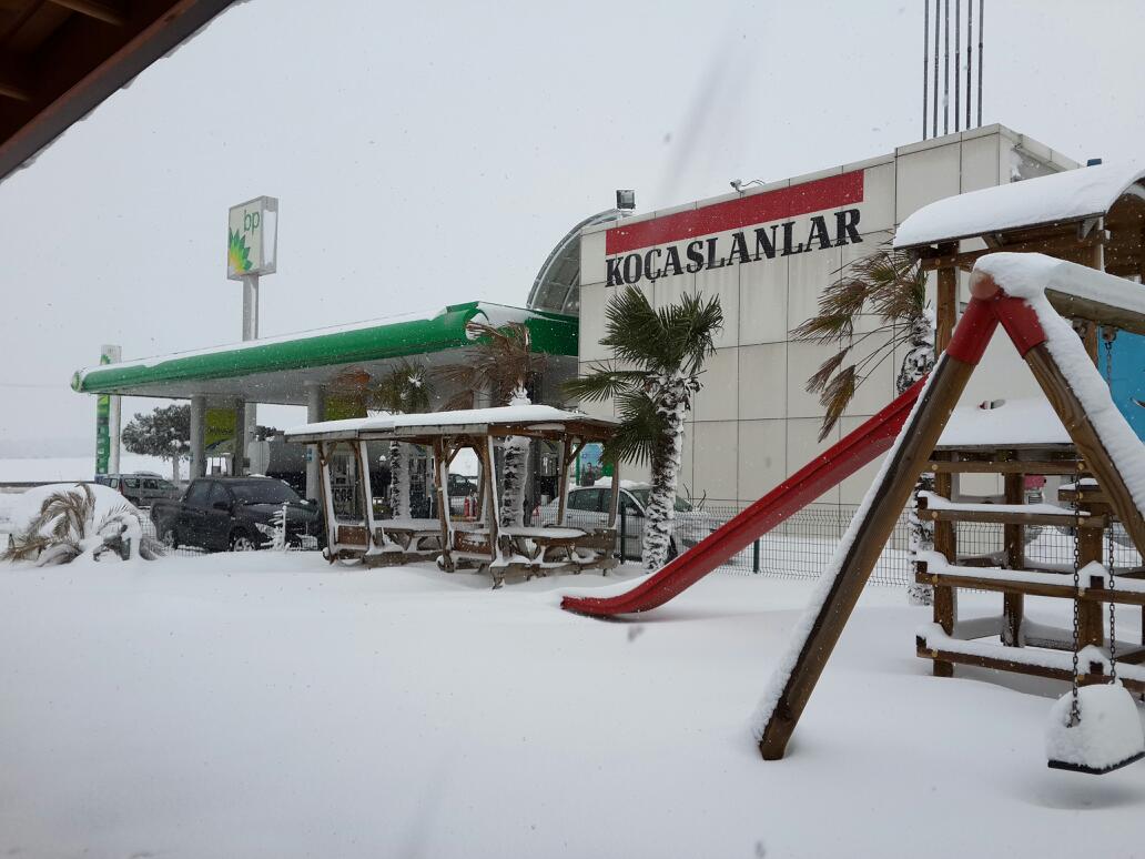 BP gas station and who Koçasl Cafe - 4