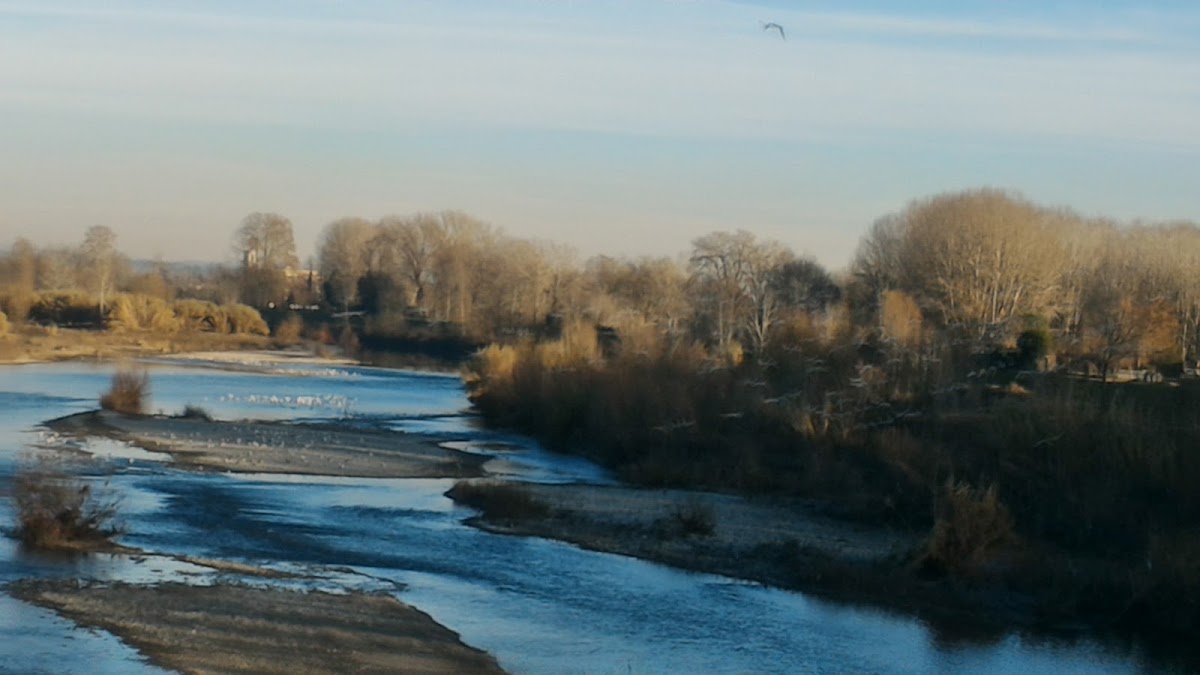 Torrefazione Lucchese Caffe Incas - 2