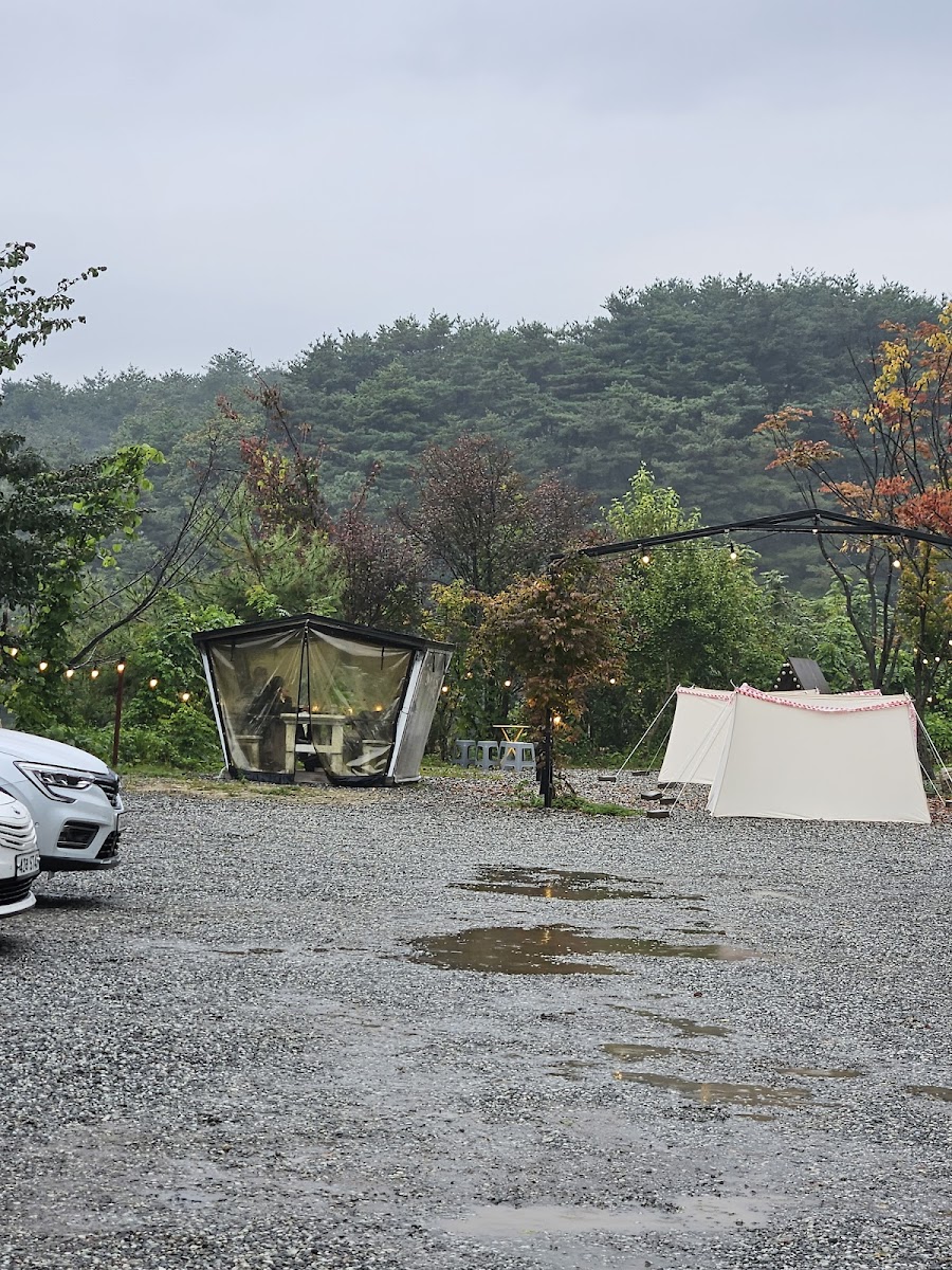 Cafe Forest (카페 포레스트) - 4