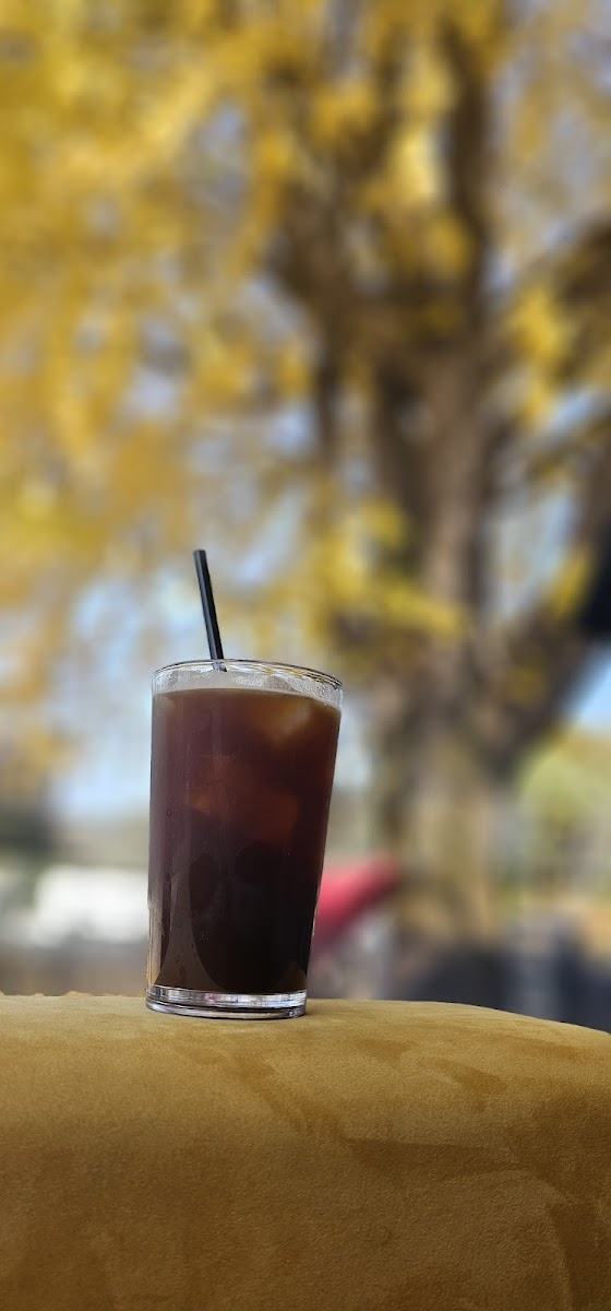 Cafe Forest (카페 포레스트) - 8