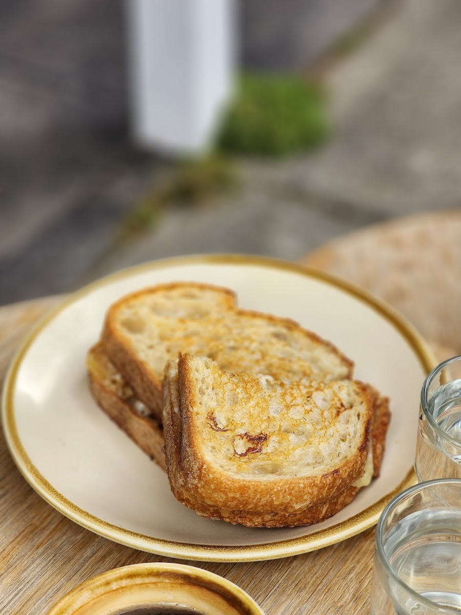 Storehouse Sassafras - 4