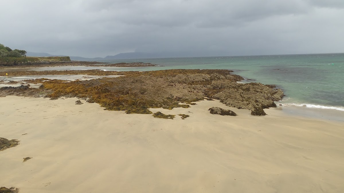 The Mermaids Purse cafe - 3