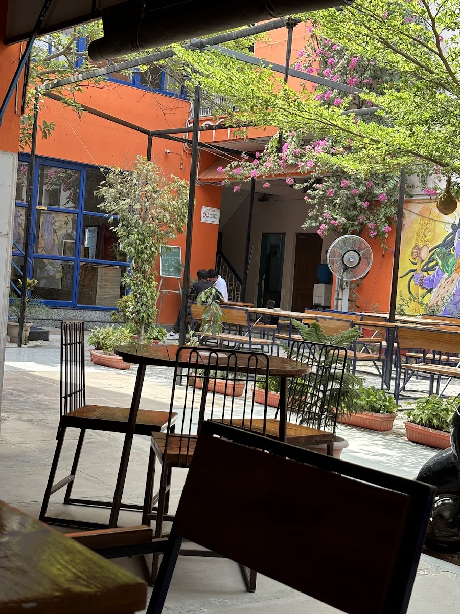 Live Free Cafe Varanasi