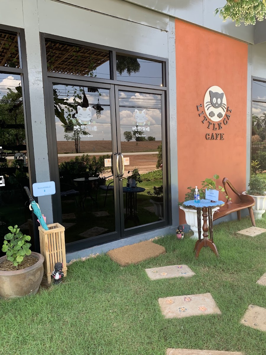 Little Cat Cafe'