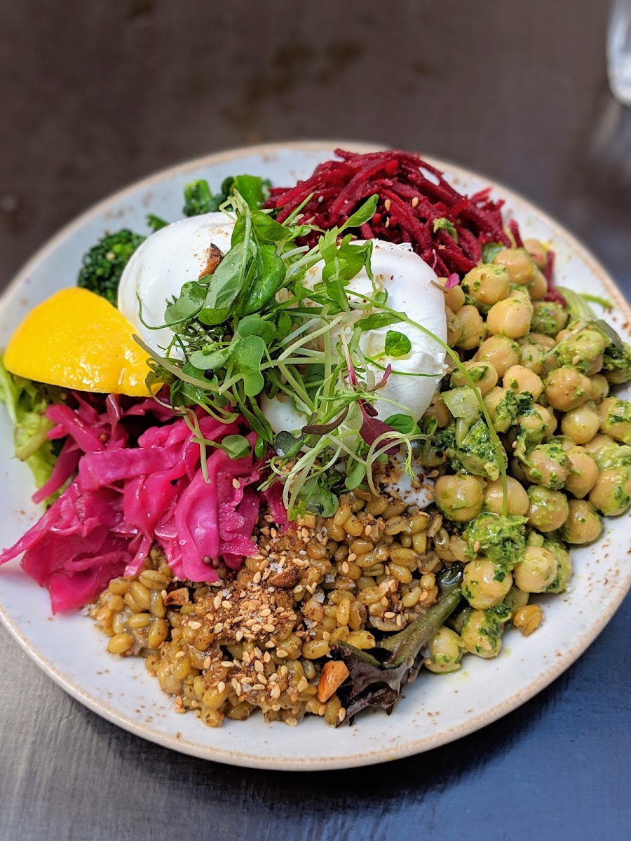 Little Sunflower Café - 3