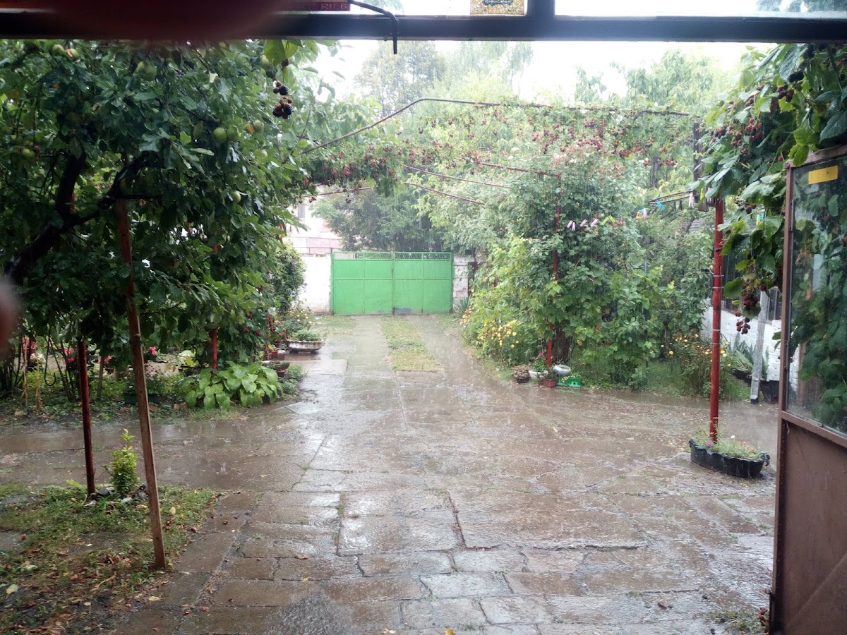 Caffe Disneyland - 2