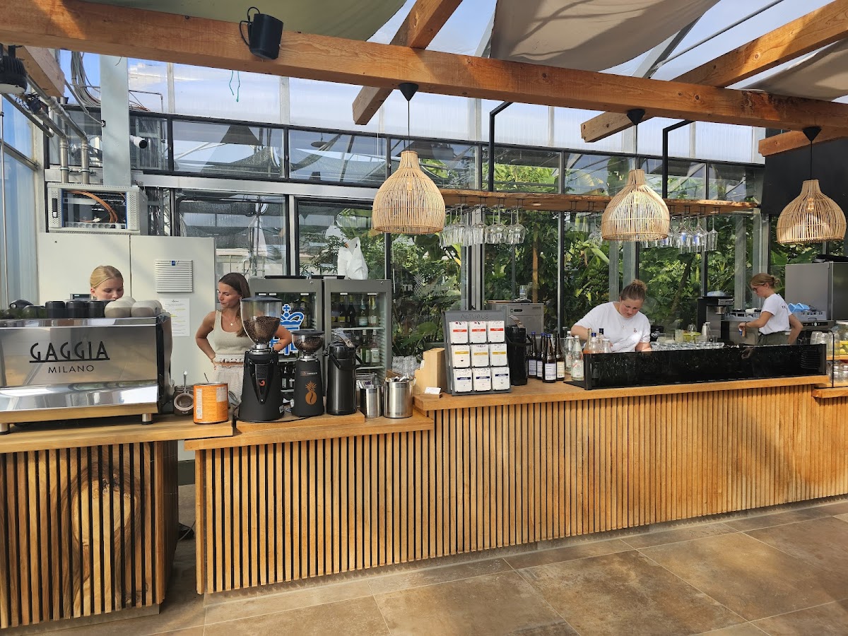 Tropenhaus Weihenlinden