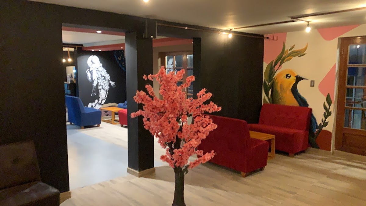 TUPAC Cafe - Bar - 3