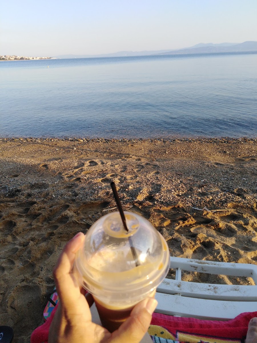 Le Palme Luxury Beach Club - 6