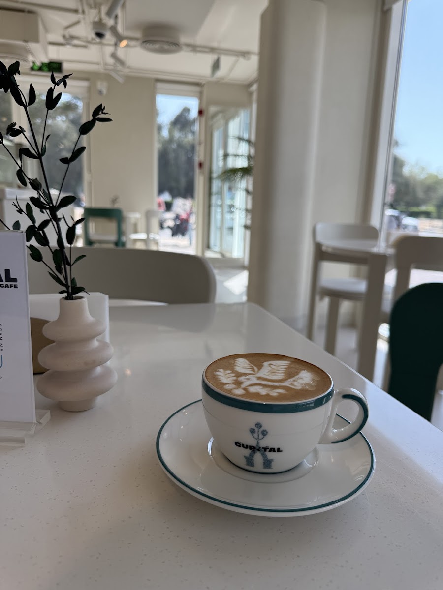 Cupital Cafe - Al Muroor - 2