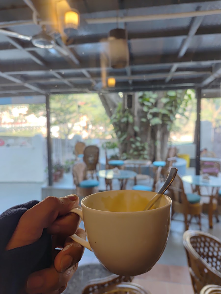 The Paradise Cafe & Juice Bar - 6