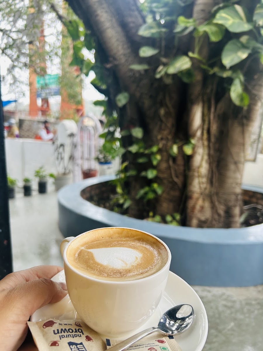 The Paradise Cafe & Juice Bar - 9