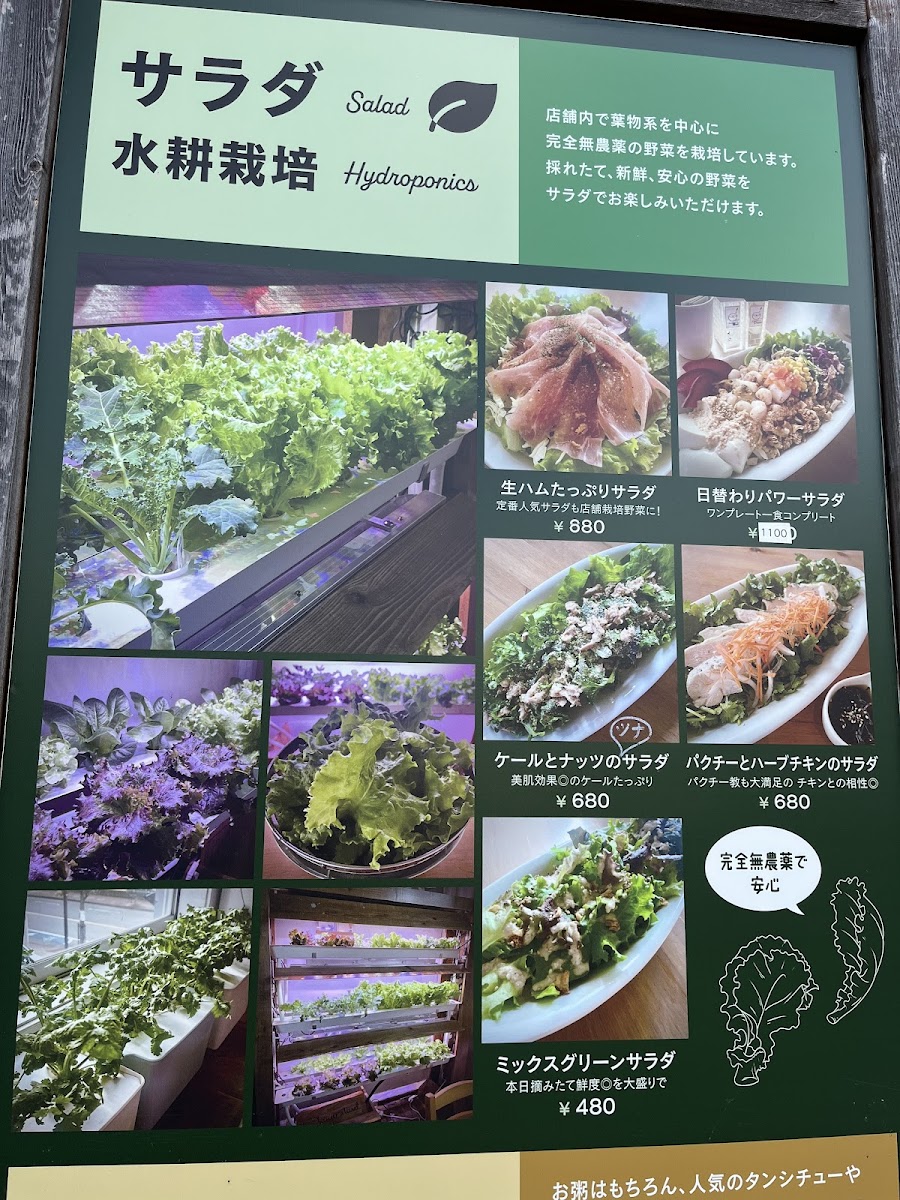 Okayu-stand.Salad - 5