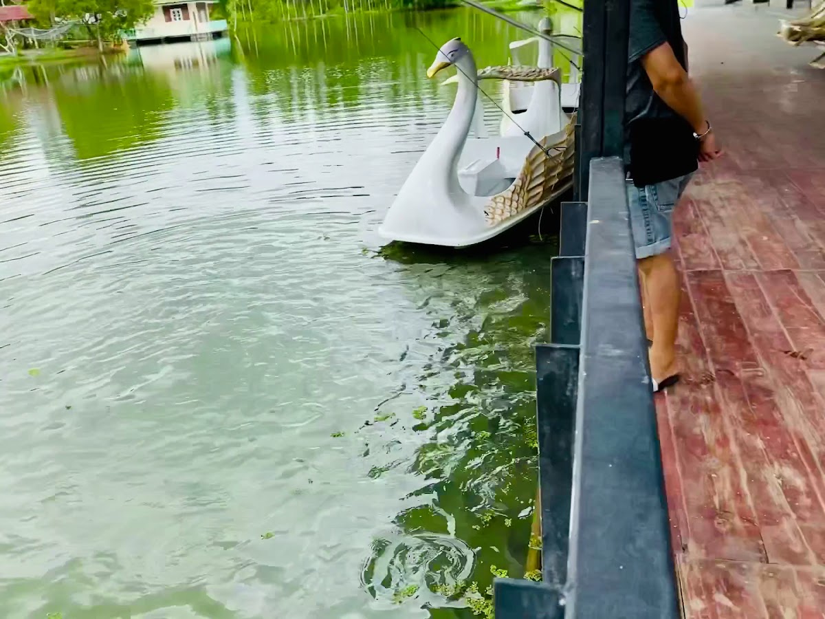 On Ground Cafe & Farm - 2