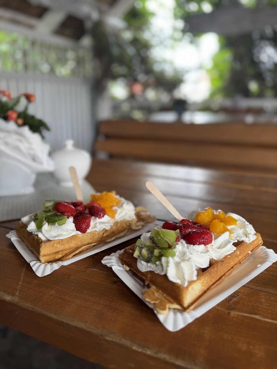 Lodziarnia Pod Papugami - 2